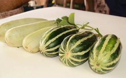 网红吃瓜给钱吗,揭秘网络红人背后的金钱游戏 第3张 网红吃瓜给钱吗,揭秘网络红人背后的金钱游戏 第3张